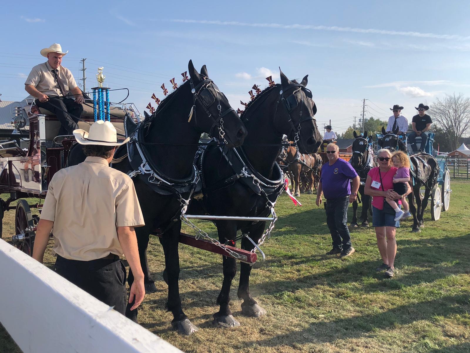 1aaff5ac-82ab-456c-bd0e-1cb09033eec7