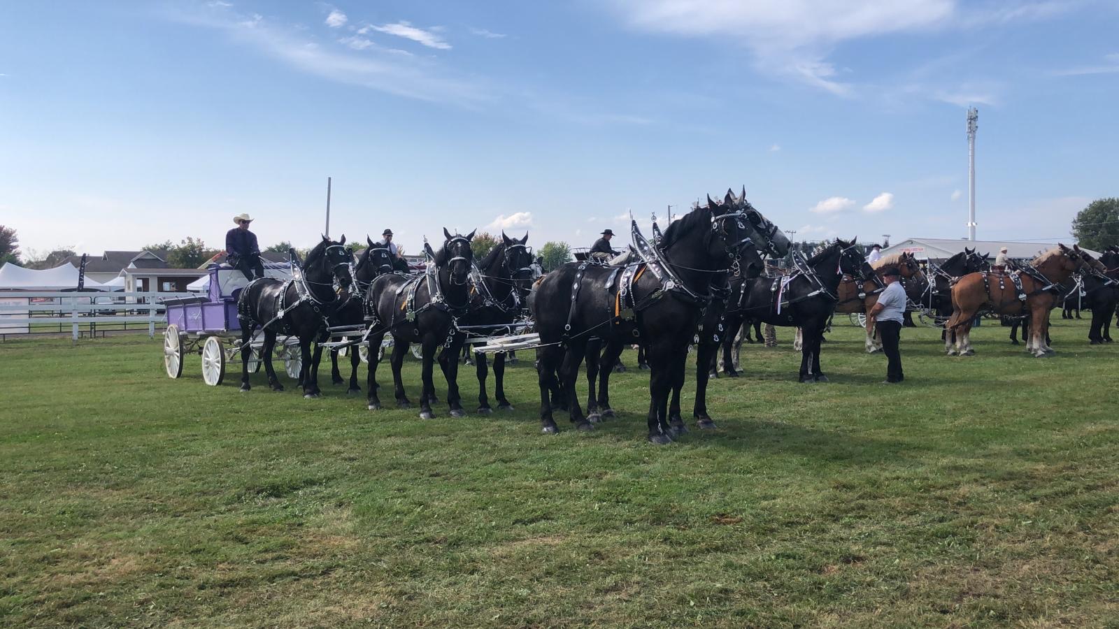 cce4597d-8acd-4bf3-bb8f-4a44e2eec91f